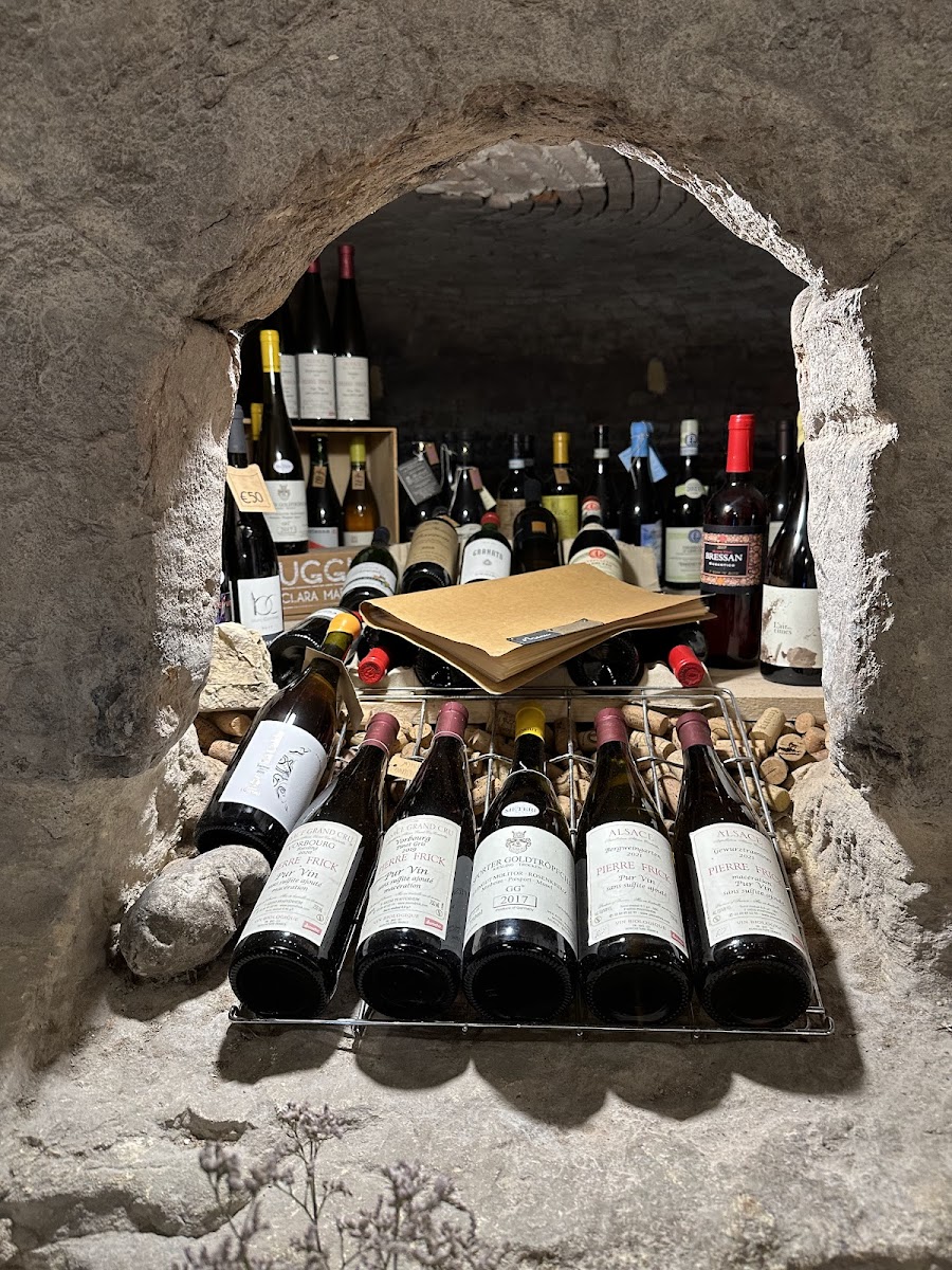 Canovino Photo 3