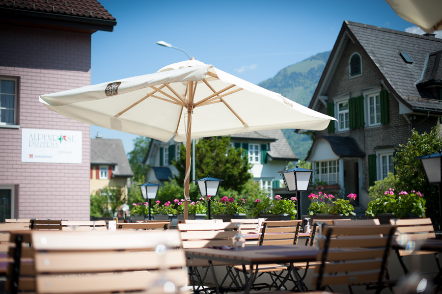 Alpenrose