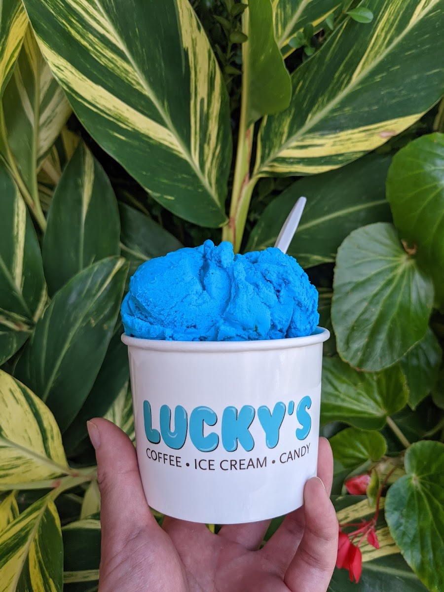 Luckys Coffee, Ice Cream & Candy Photo 7