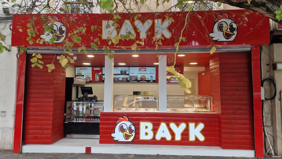 BAYK Photo 4