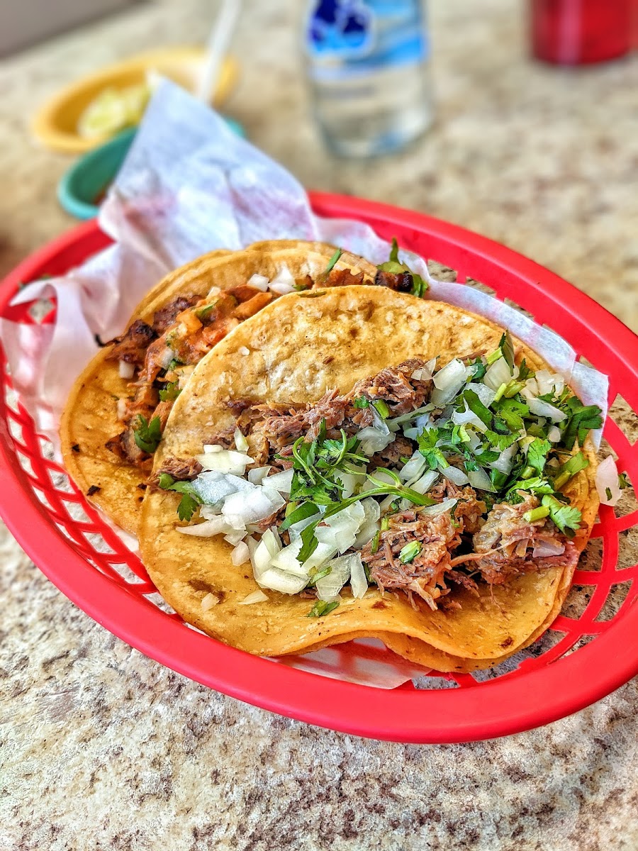 Taquería El Pastor Photo 3