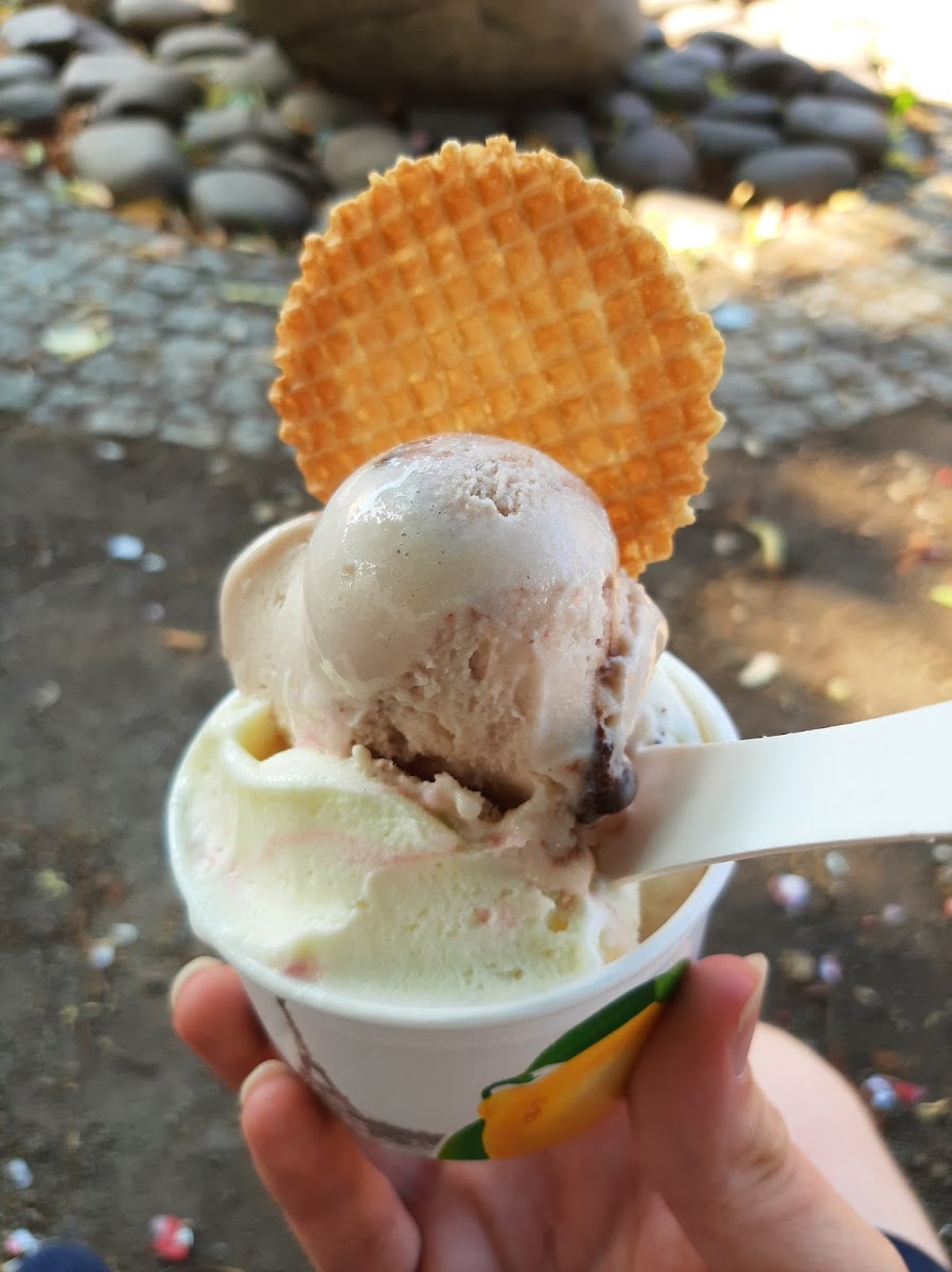 Eiscafé am Markt Photo 5
