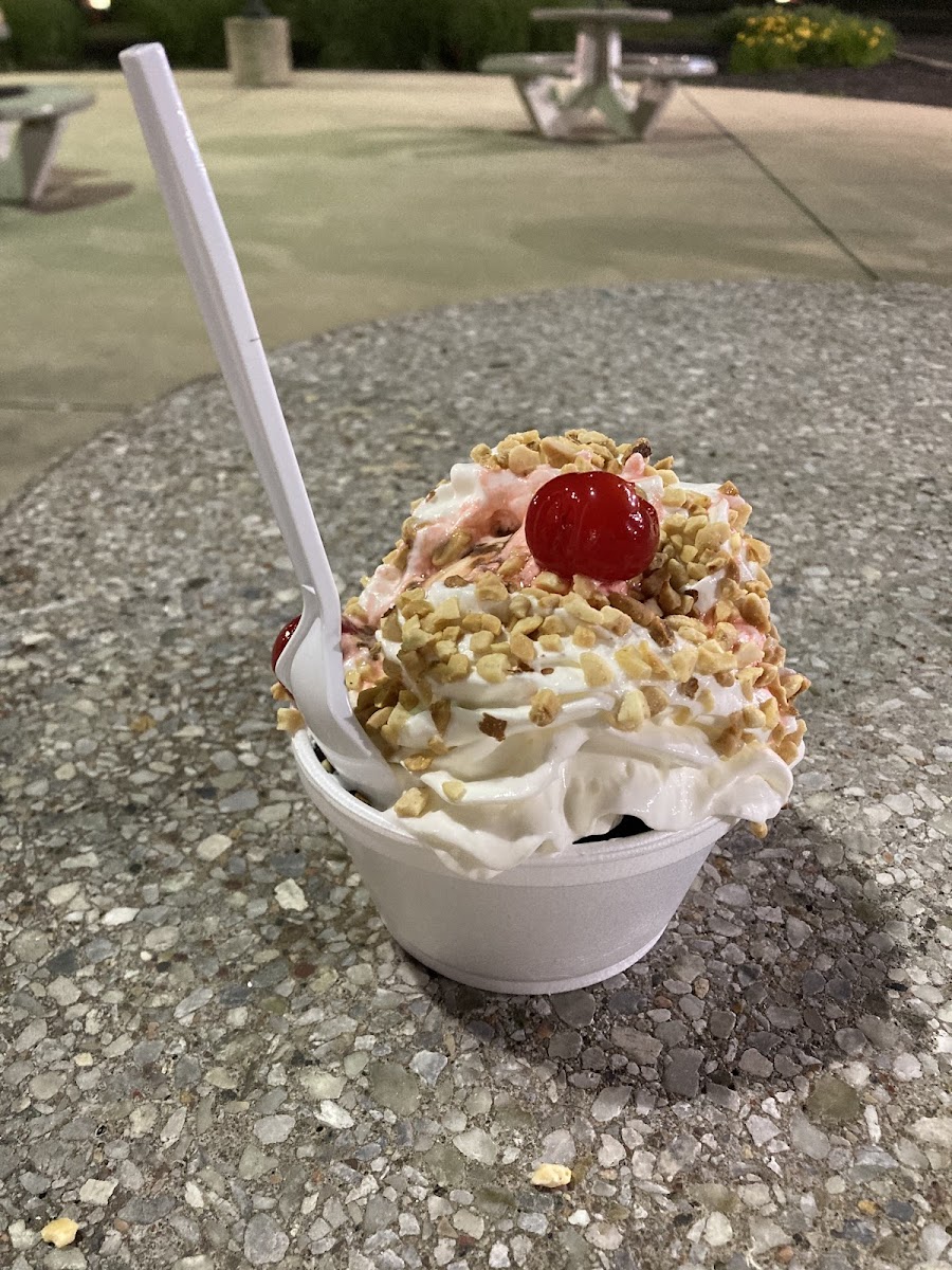 Scoops Ice Cream Photo 8
