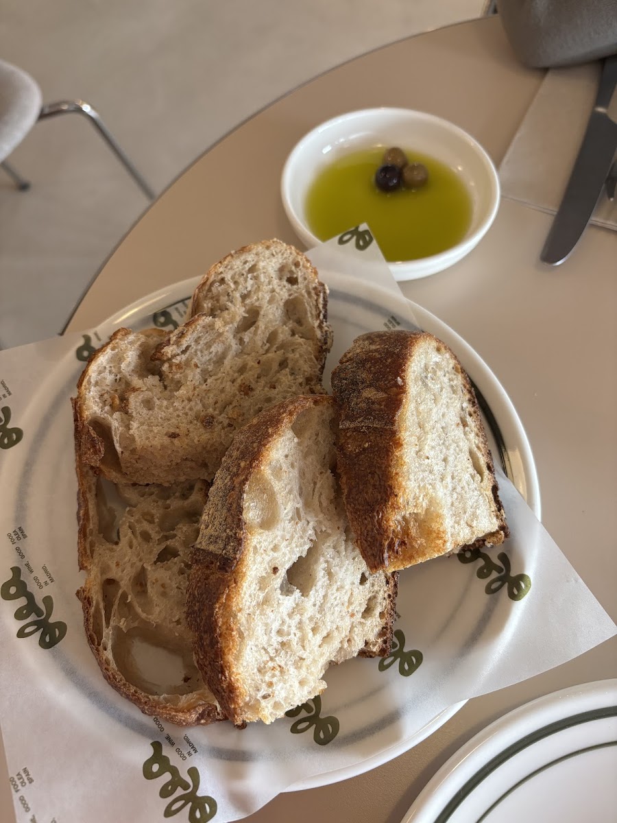 Olea Photo 8
