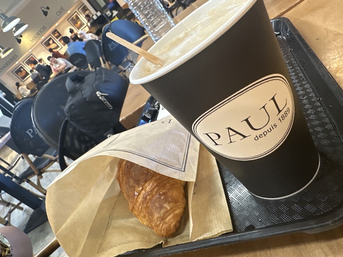 PAUL Photo 5