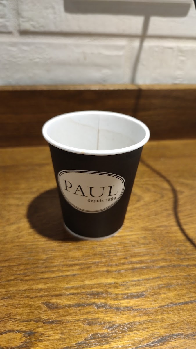 PAUL Photo 7