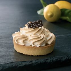 PAUL Photo 9
