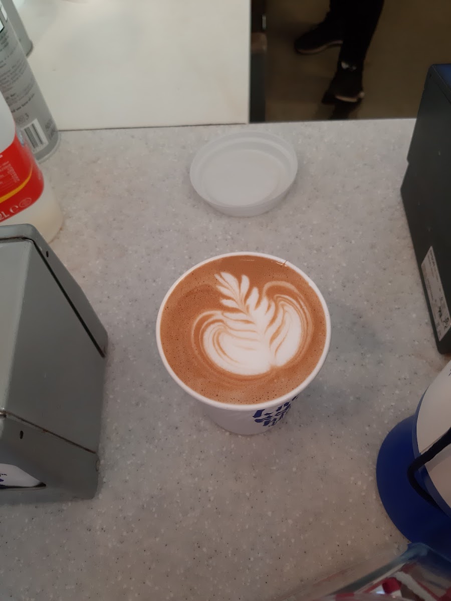 Puccino's Photo 5
