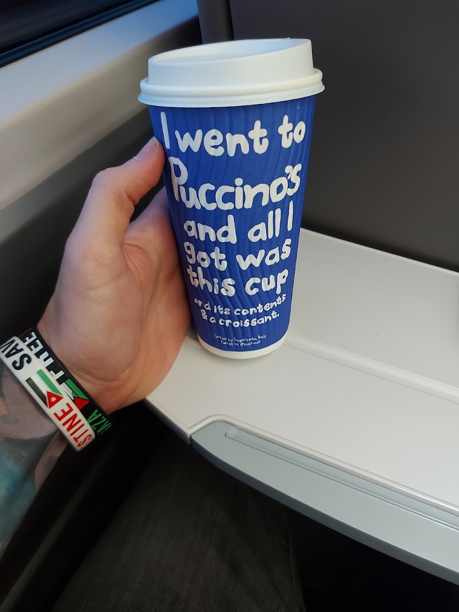 Puccino's Photo 8
