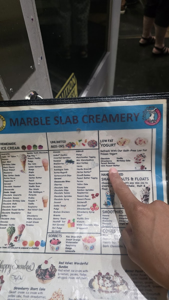 Marble Slab Creamery Photo Menu 10