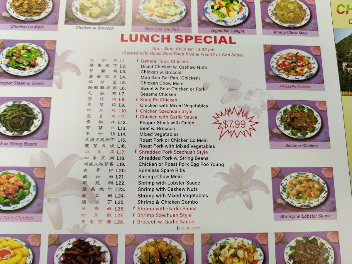 China Wok Photo Menu 2