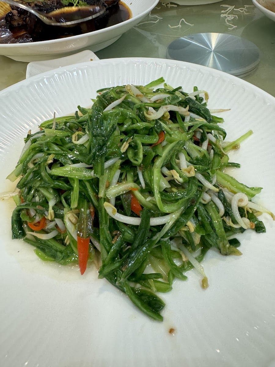 Garden Restaurant Photo 7