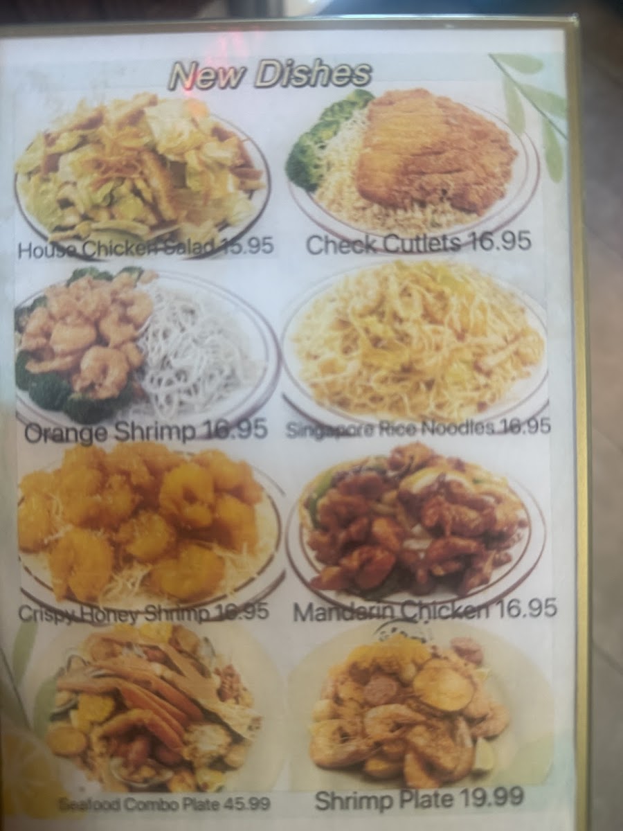 Hong Kong Restaurant Photo Menu 9