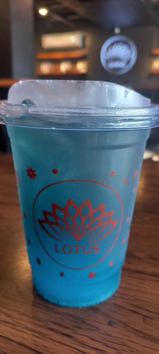Lotus Cafe Photo 8