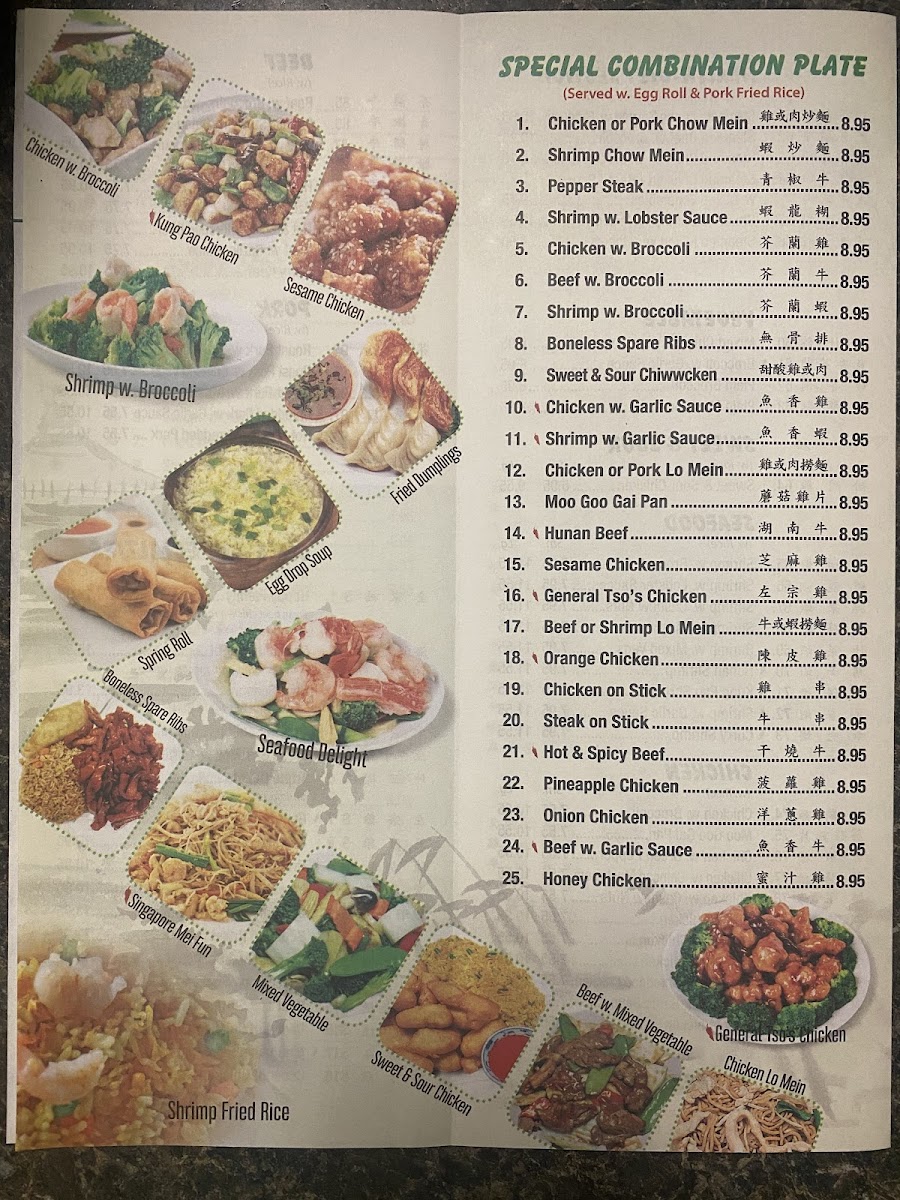 Panda Chinese Restaurant Photo Menu 5