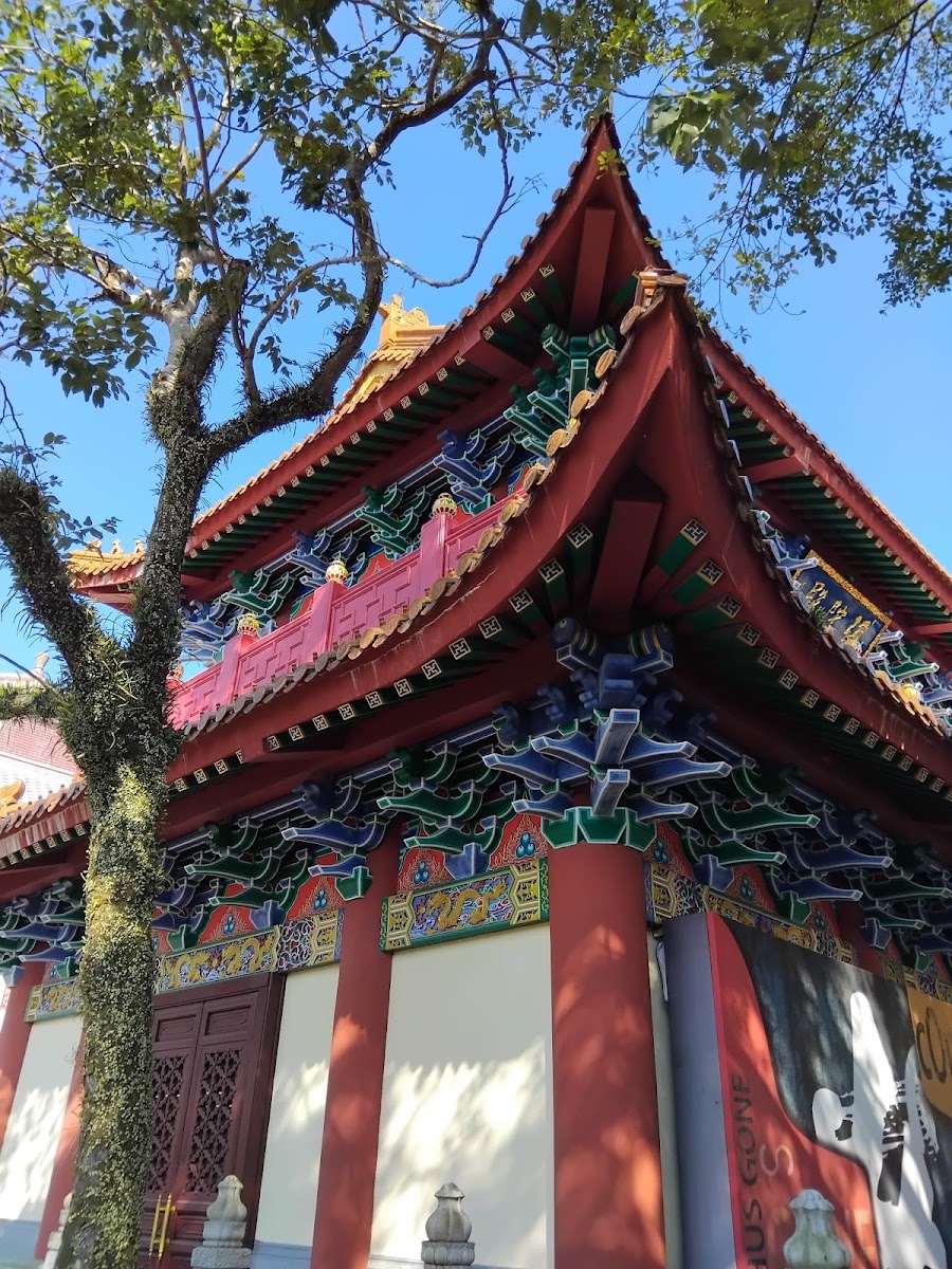 Hong Kong Photo 3