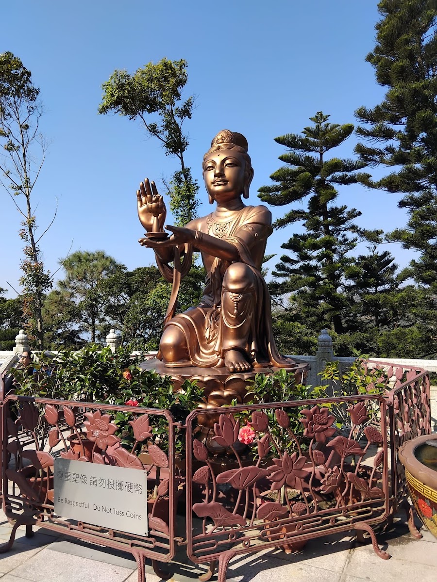 Hong Kong Photo 4