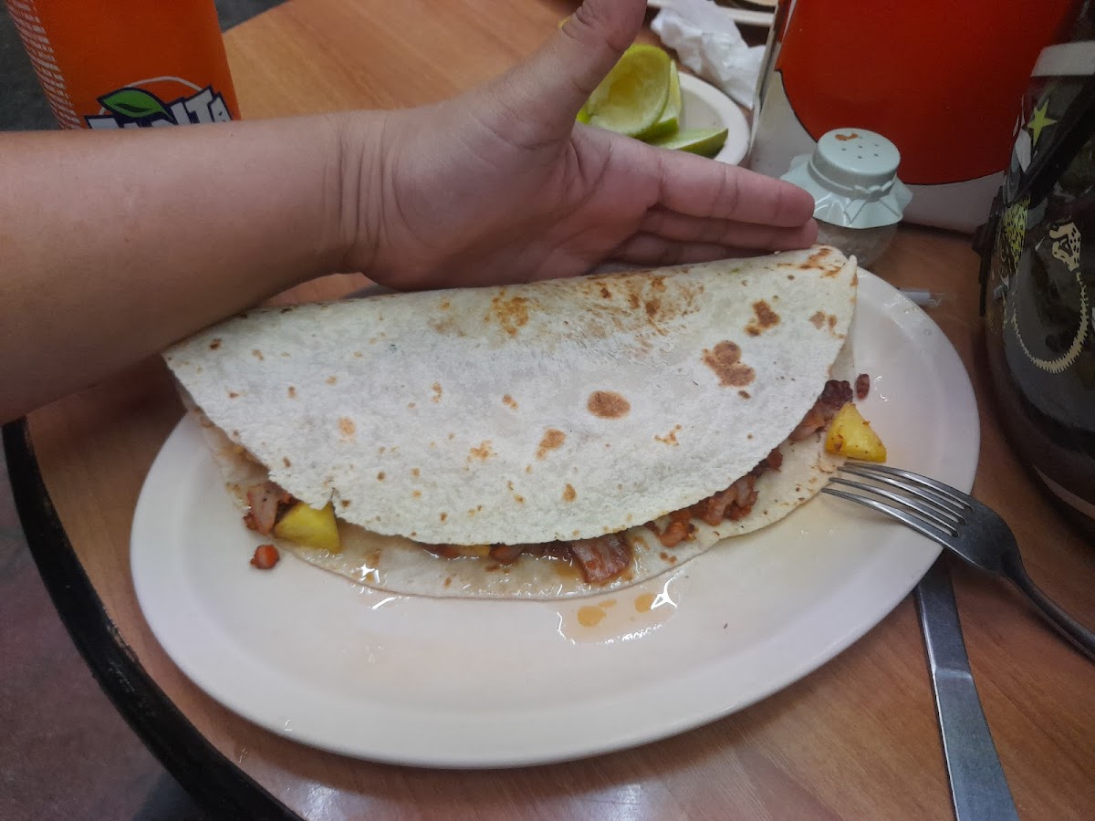 Taqueria El Pastorcito Photo 10