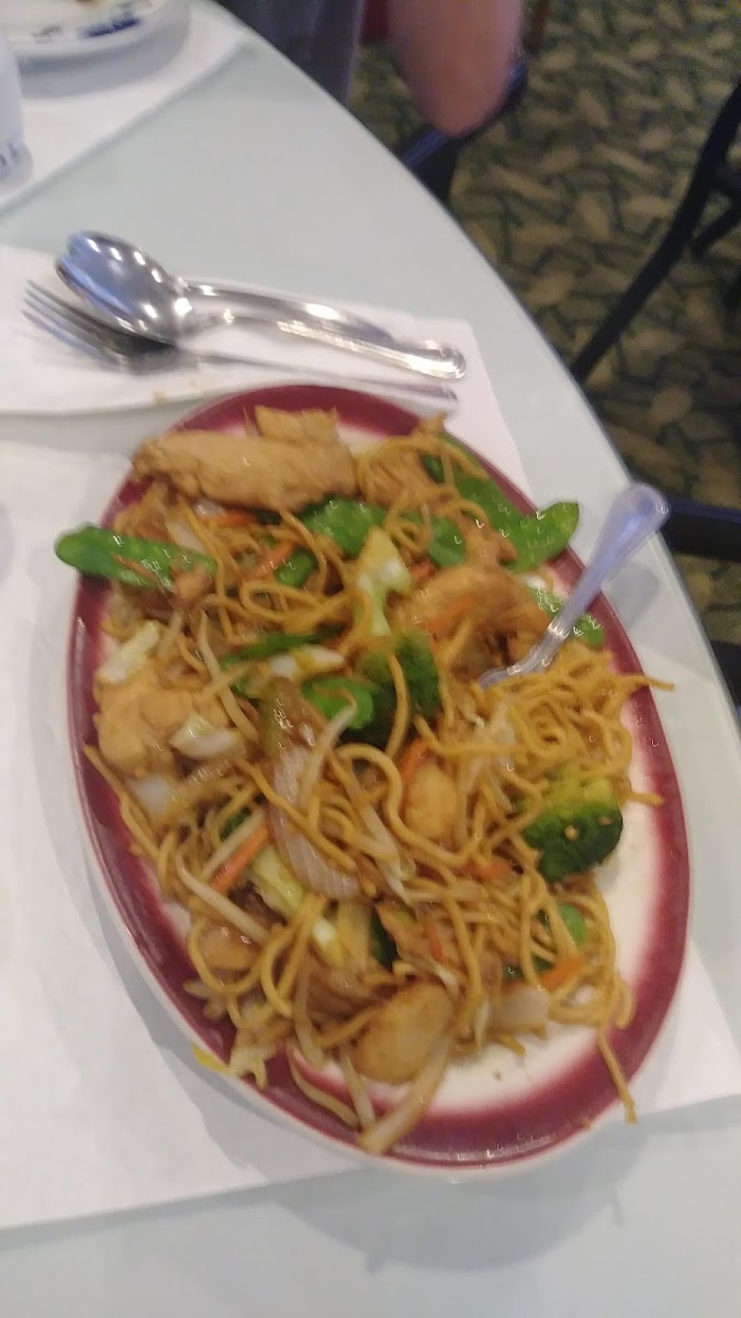 China Garden Photo 4