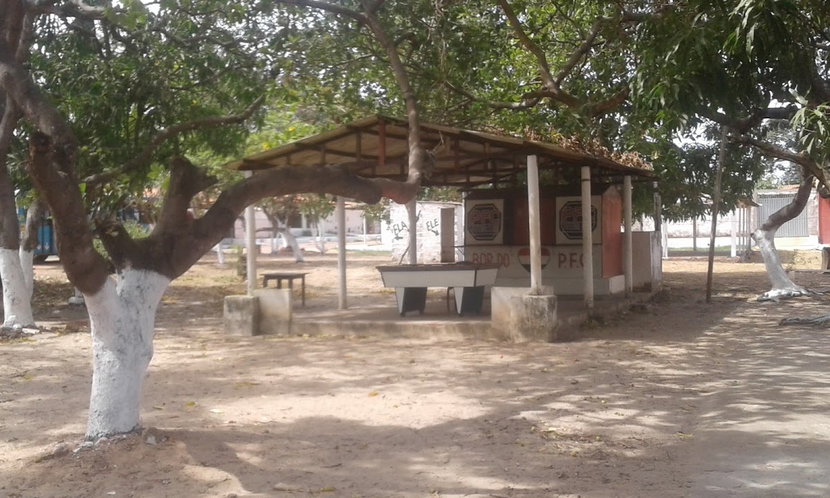 Karranca do São Francisco Photo 4