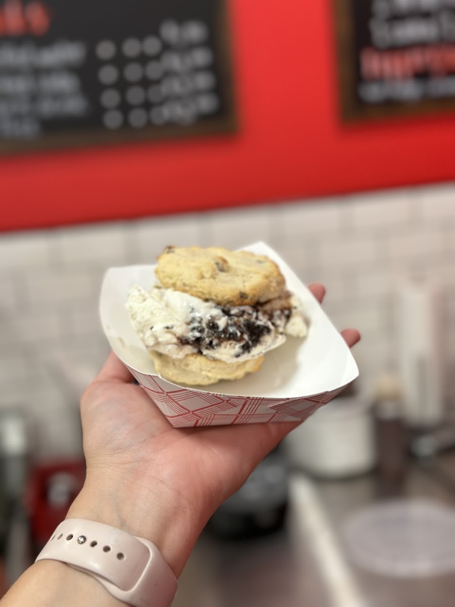 The Main Scoop Photo 5