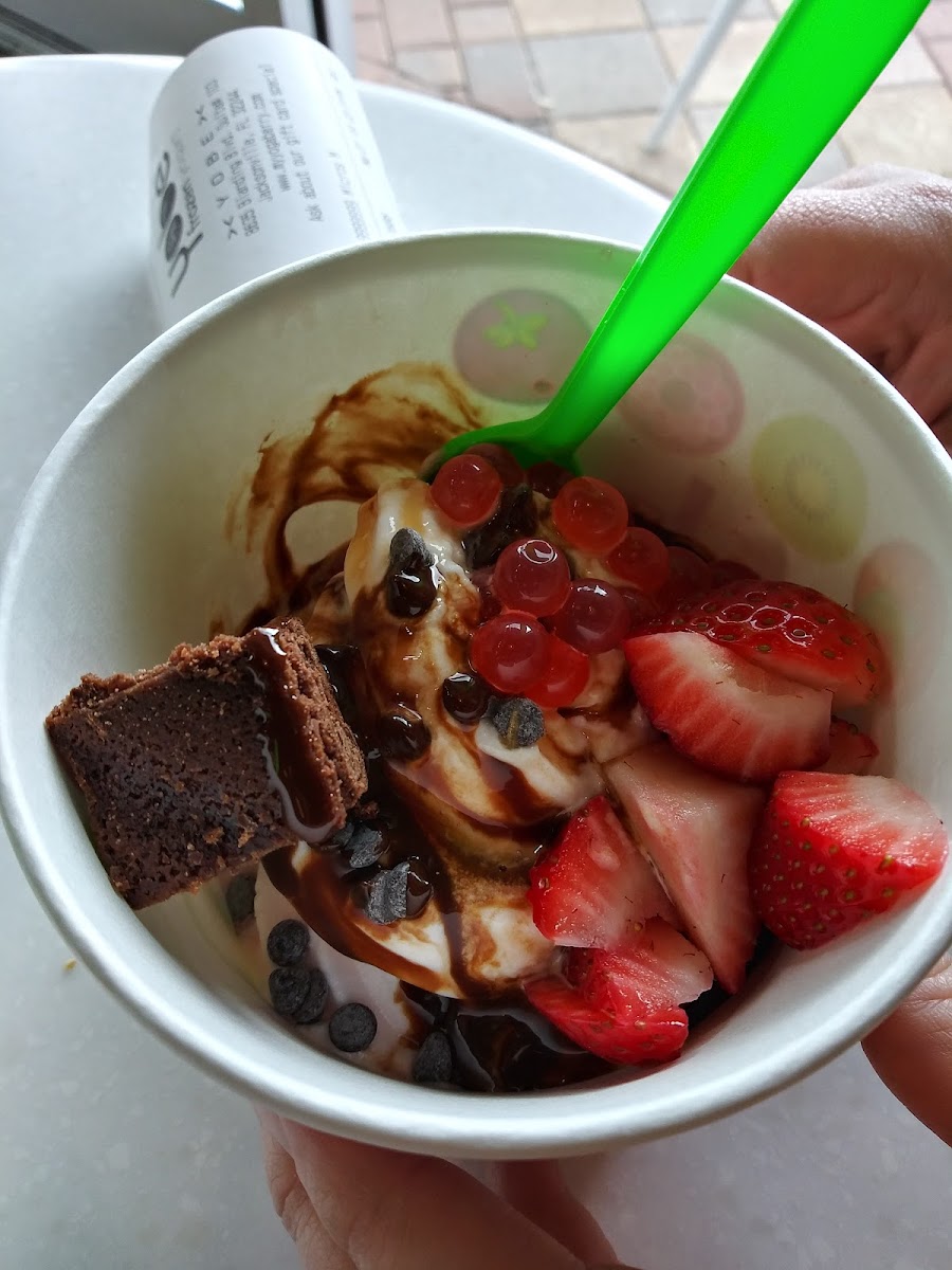 Yobe Photo 5