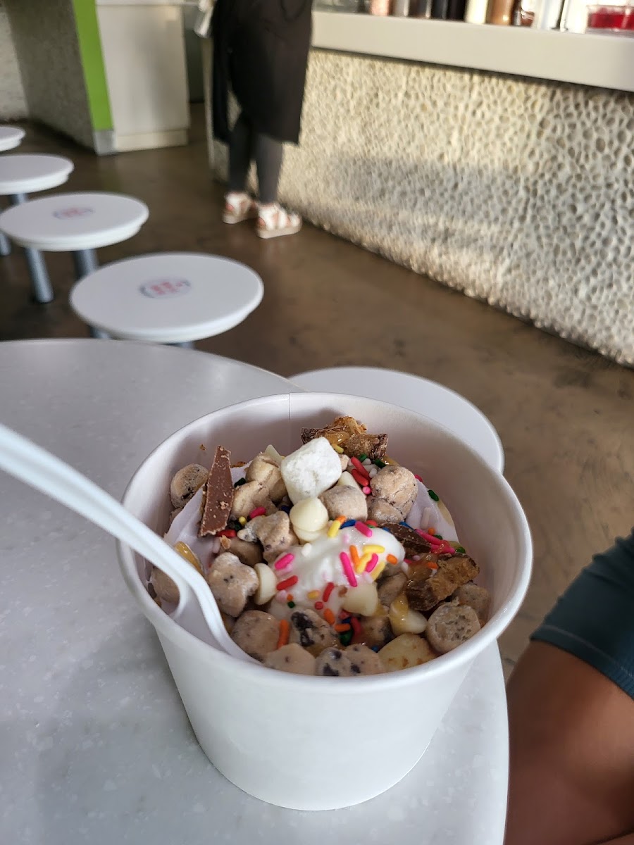 Yobe Photo 8