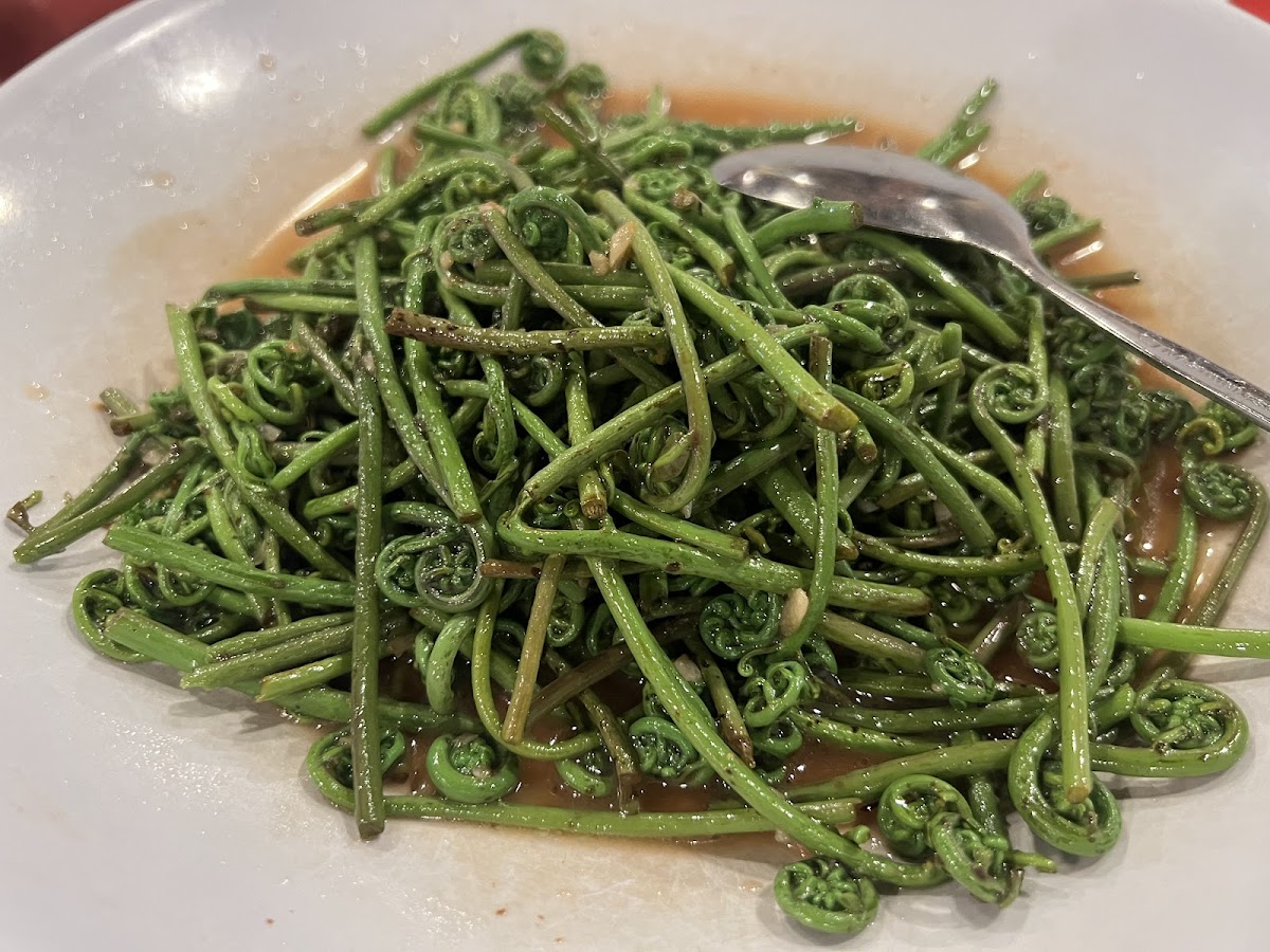 Rainforest Cafe 喜來登飲食餐廳 Photo 3