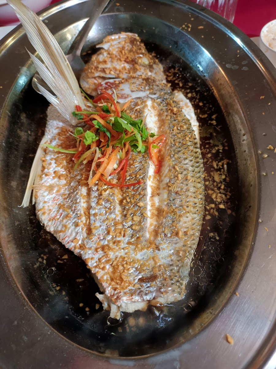 Rainforest Cafe 喜來登飲食餐廳 Photo 5