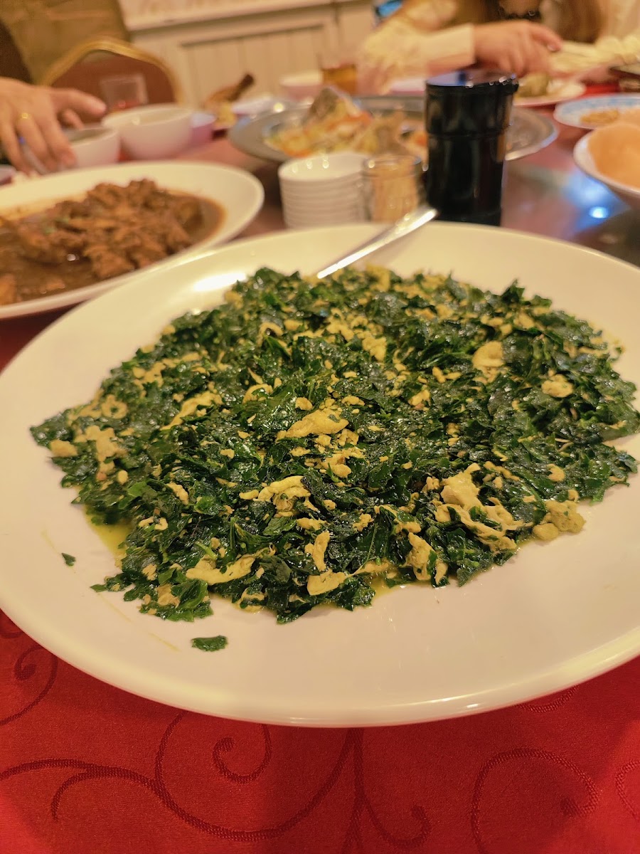 Rainforest Cafe 喜來登飲食餐廳 Photo 6