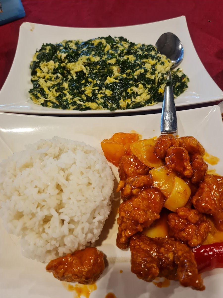 Rainforest Cafe 喜來登飲食餐廳 Photo 8
