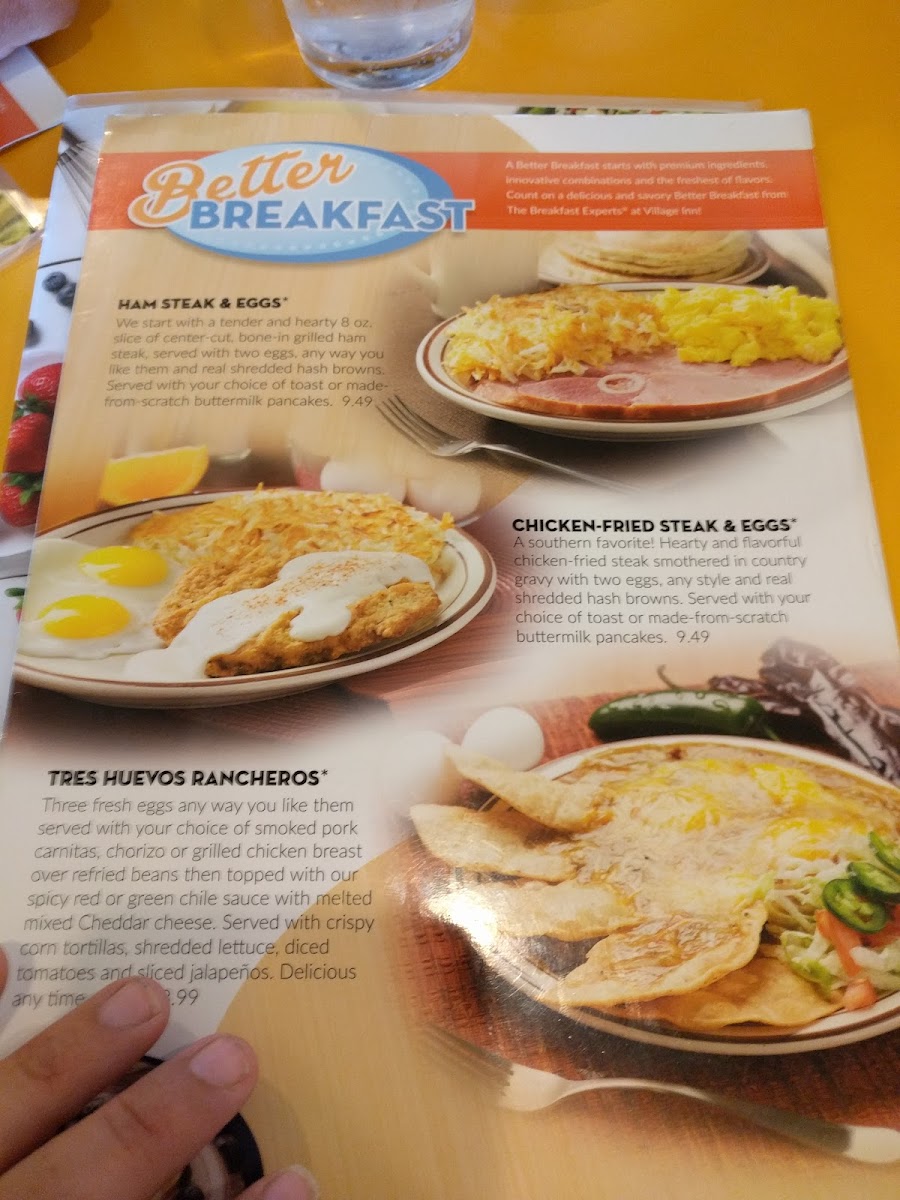 Village Inn Photo Menu 5