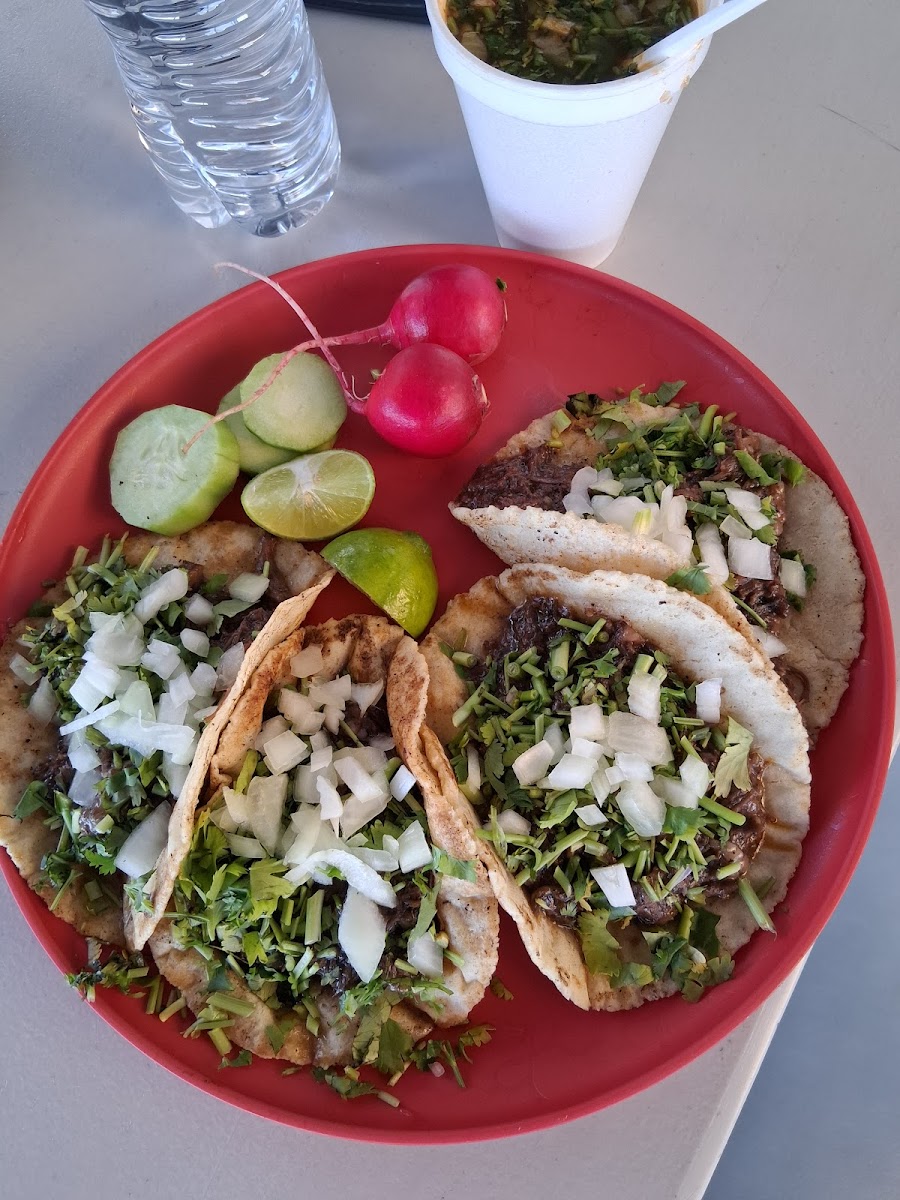 Mr. Taco Photo 4