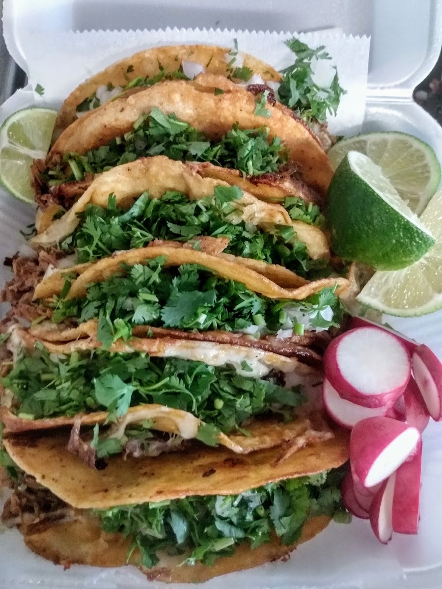 Mr. Taco Photo 6