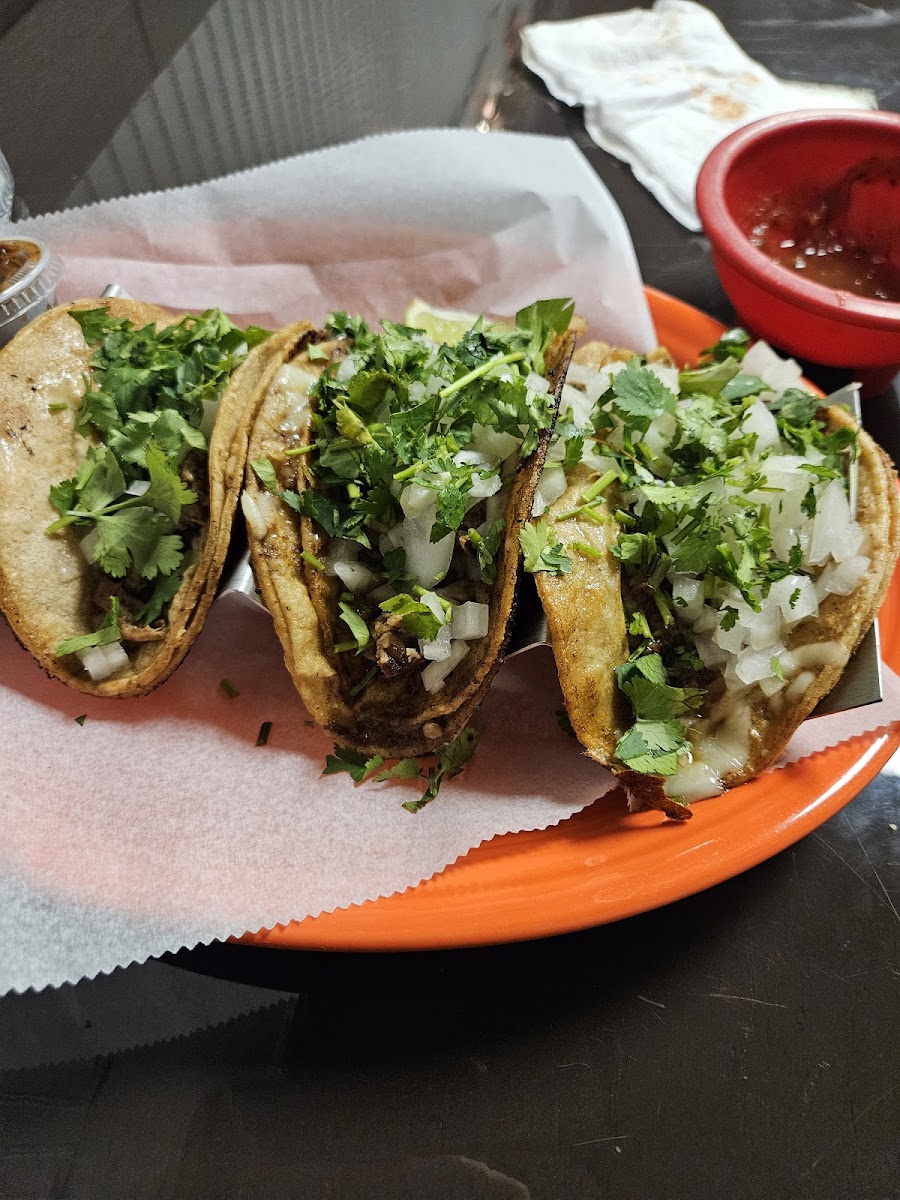 El Patron Mexican Grill Photo 10
