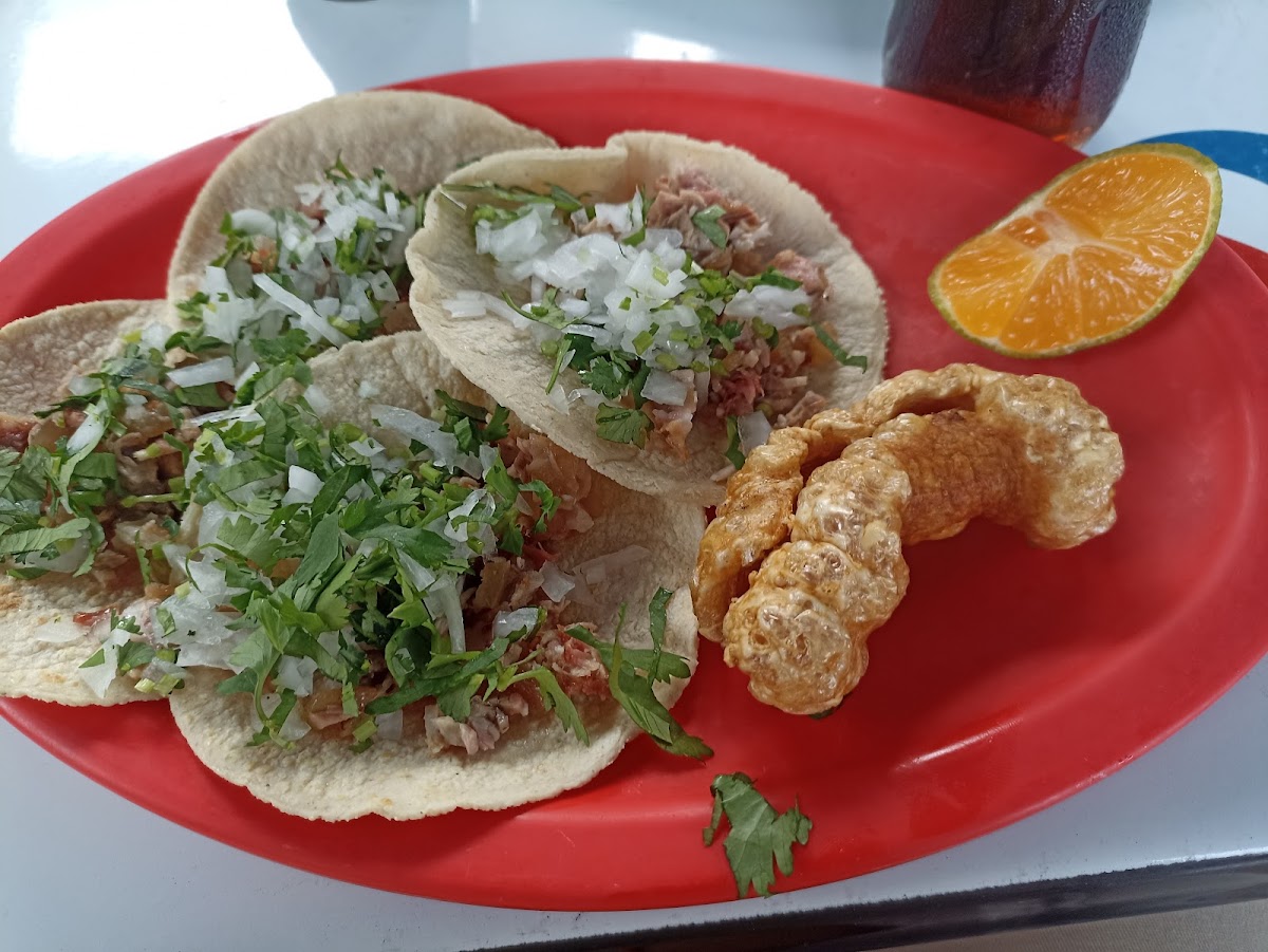 Carnitas Los Primos Photo 9