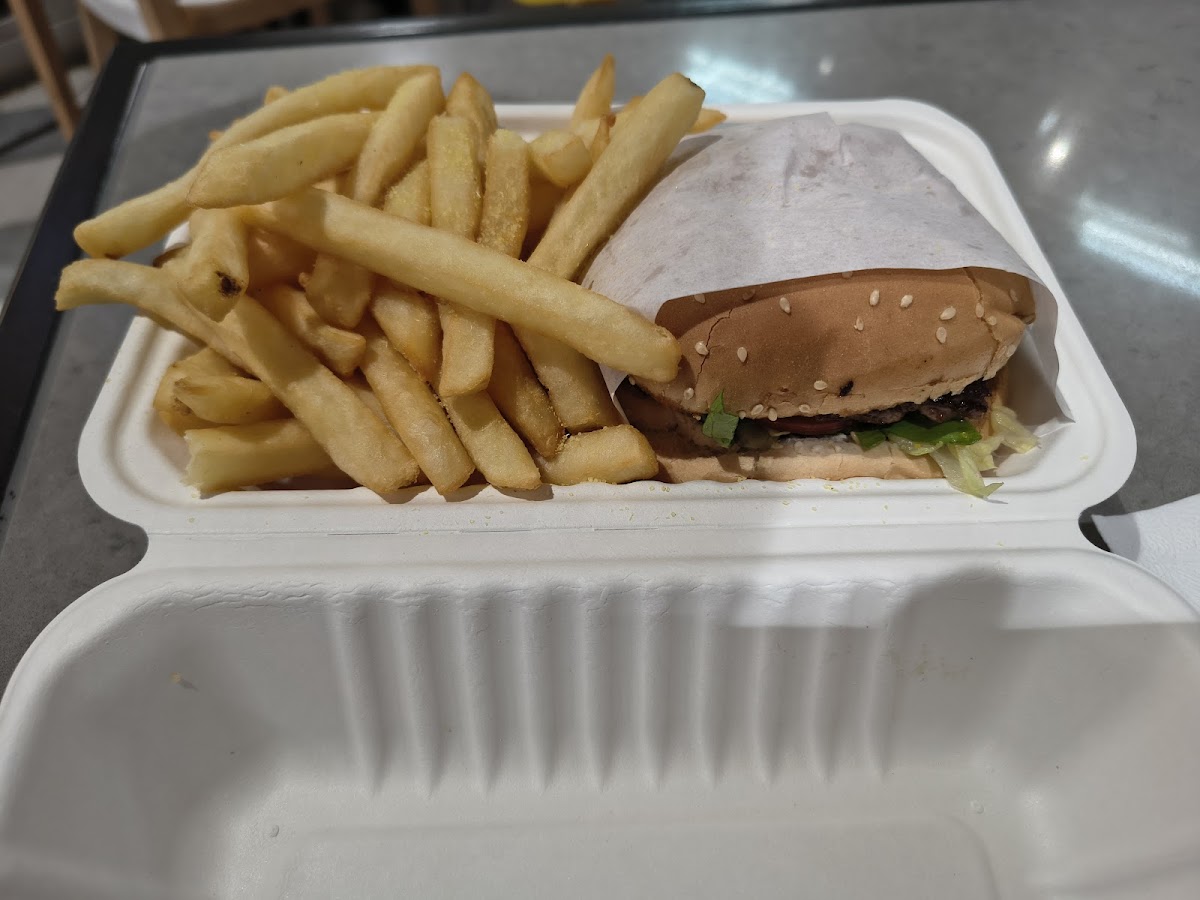 BLT Photo 4