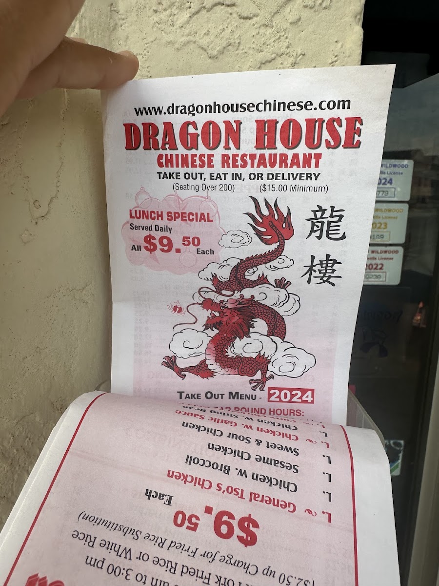 Dragon House Photo Menu 6