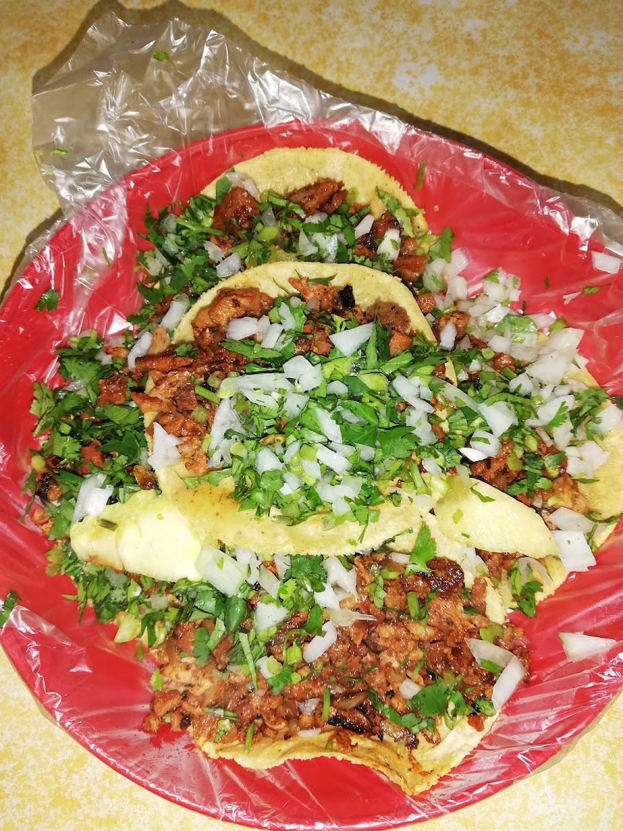 Taquería Arandas Photo 4