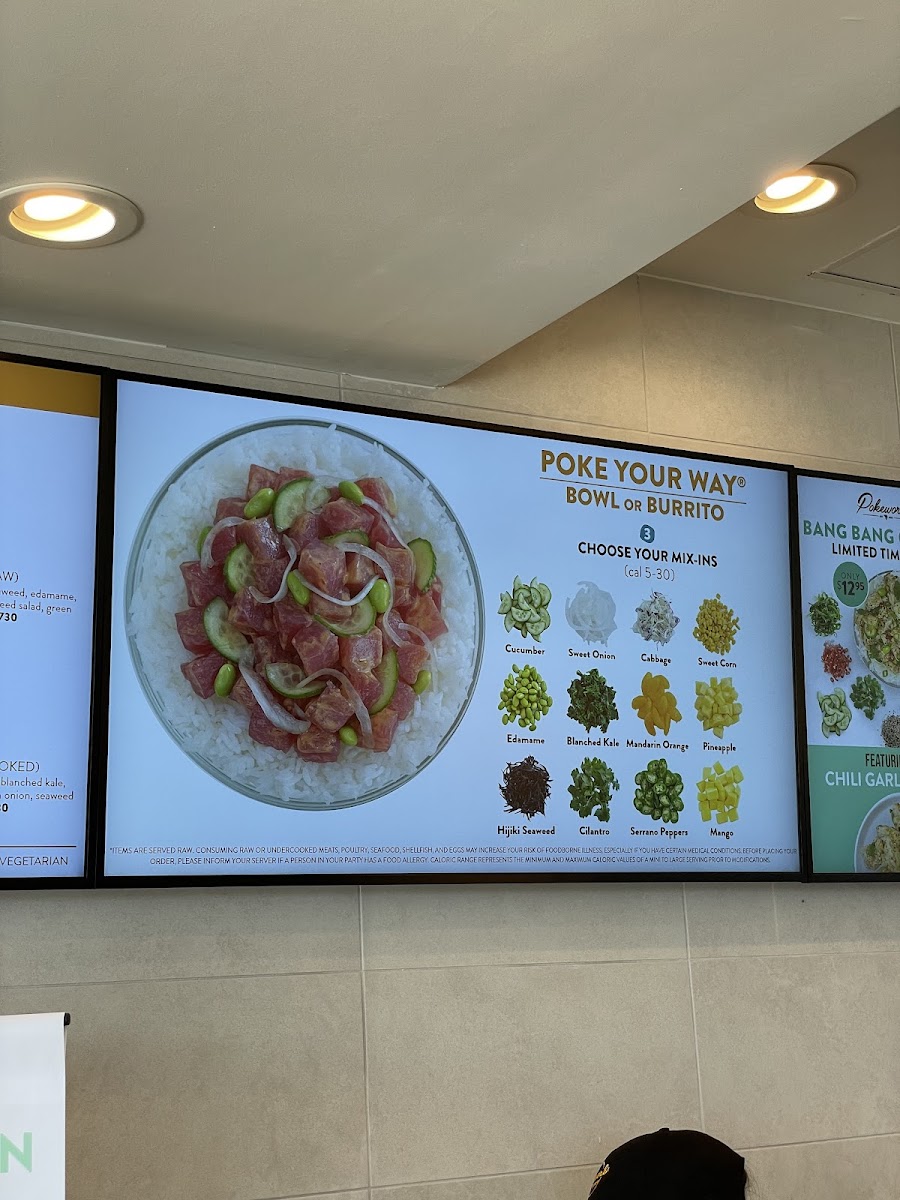 Pokeworks Photo Menu 8