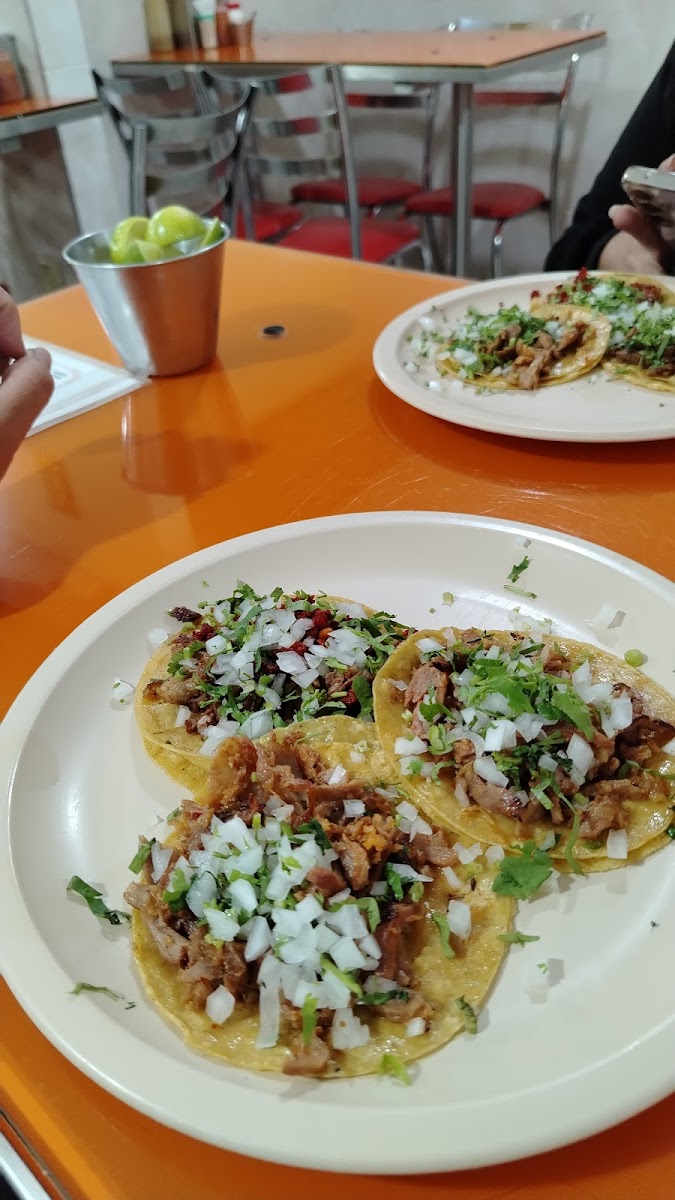 Taquería los primos Photo 4