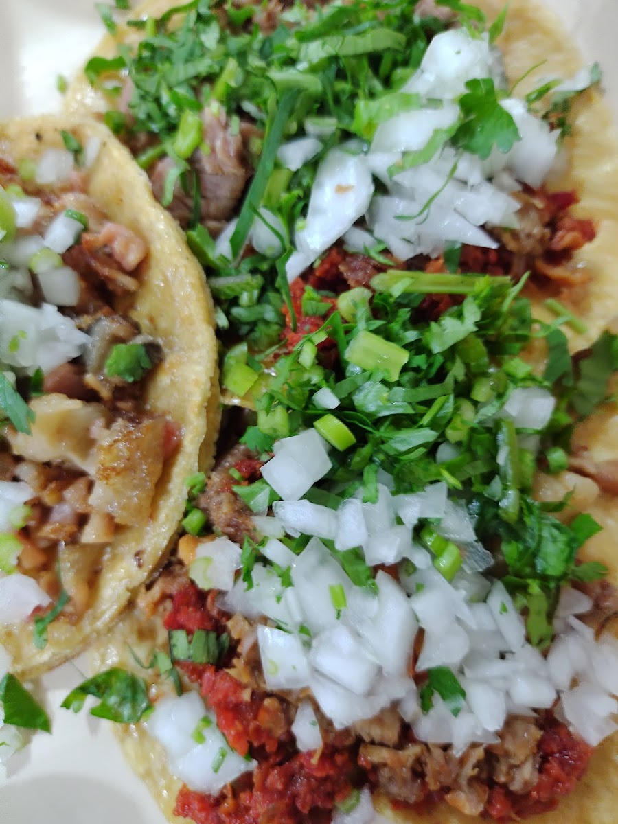 Taquería los primos Photo 6