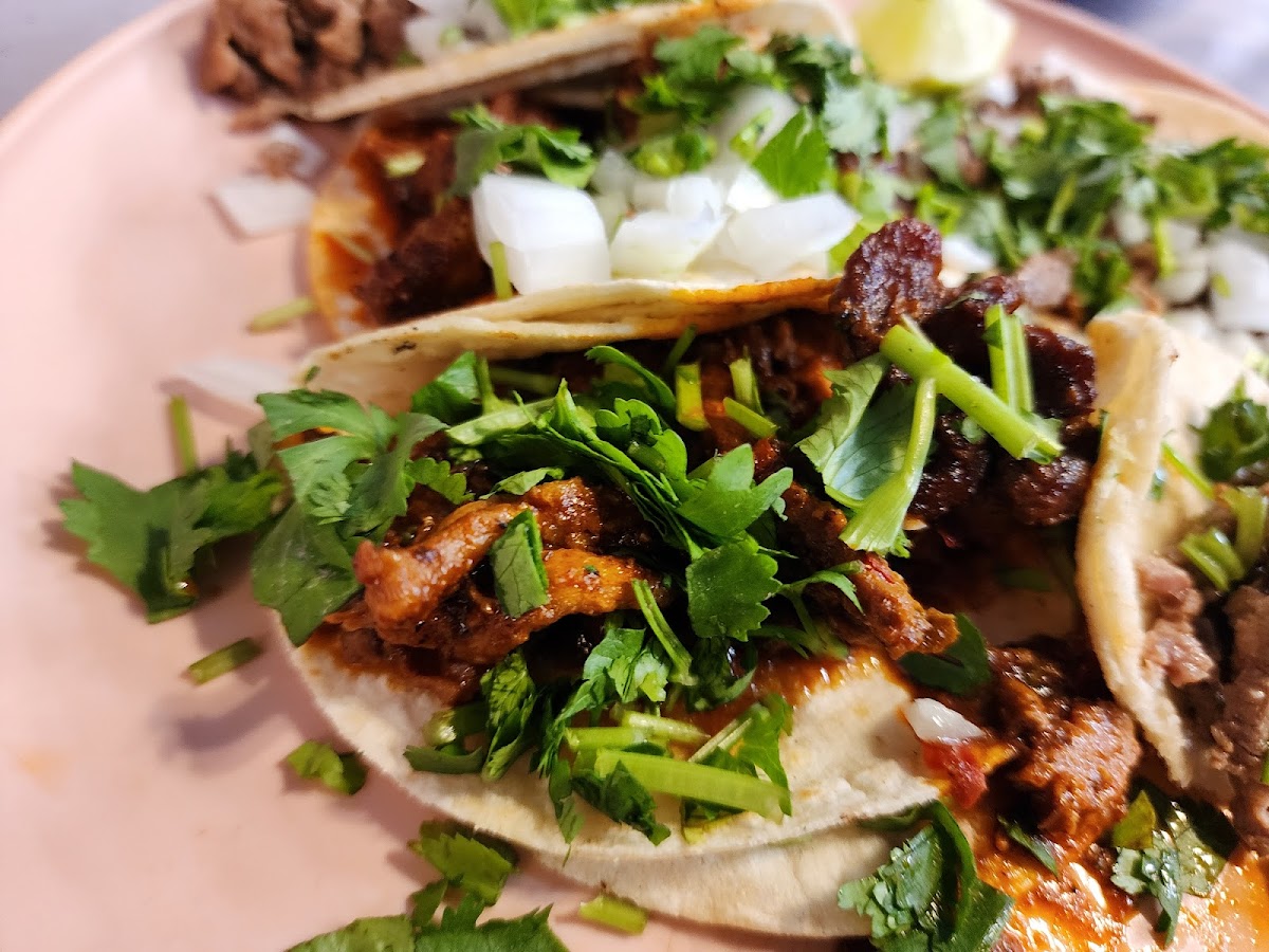 Tacos Cecy Photo 2