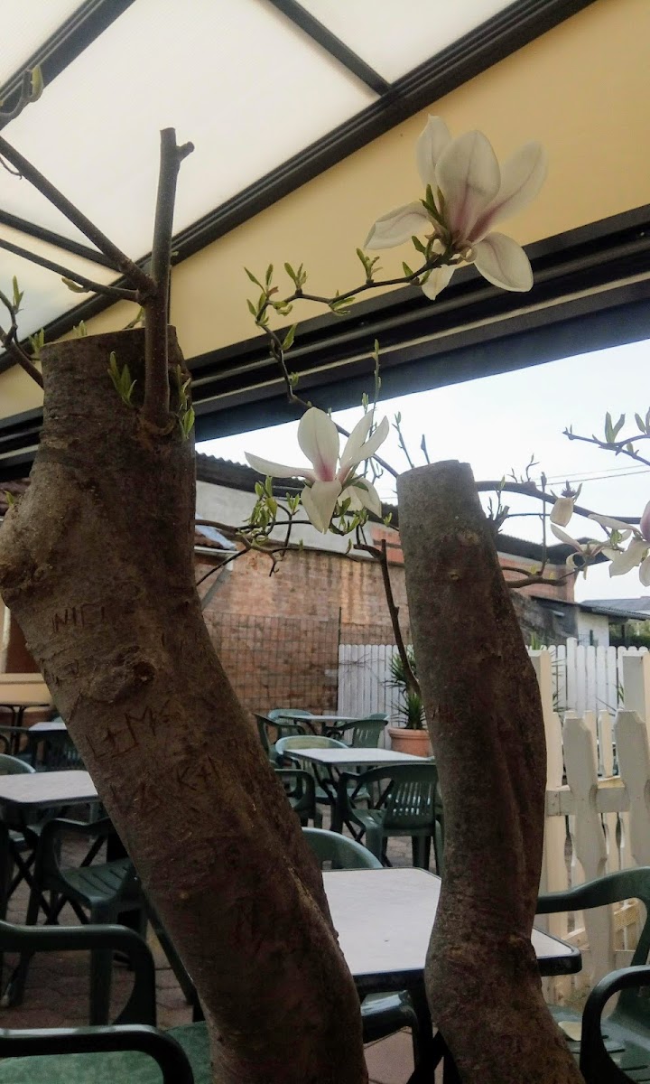 Eiscafe Roma Photo 4