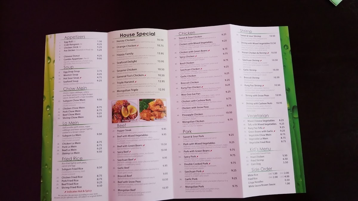CHINA HOUSE Photo Menu 9
