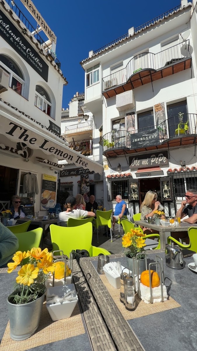 The Lemon Tree Photo 4