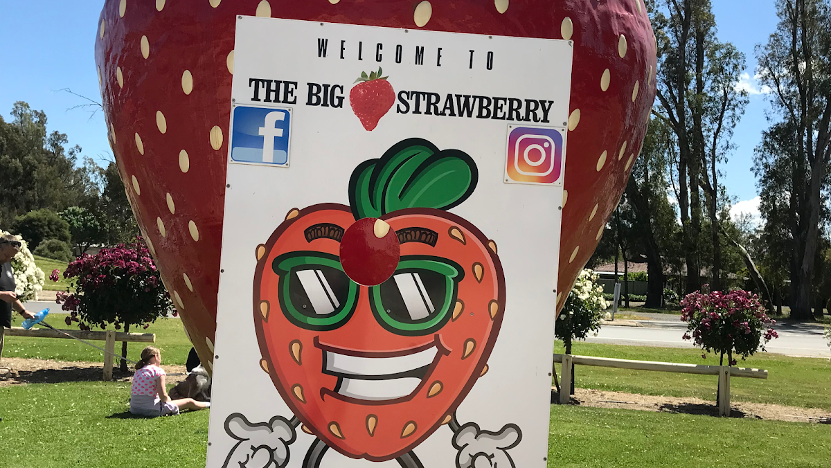 The Big Strawberry Photo 4