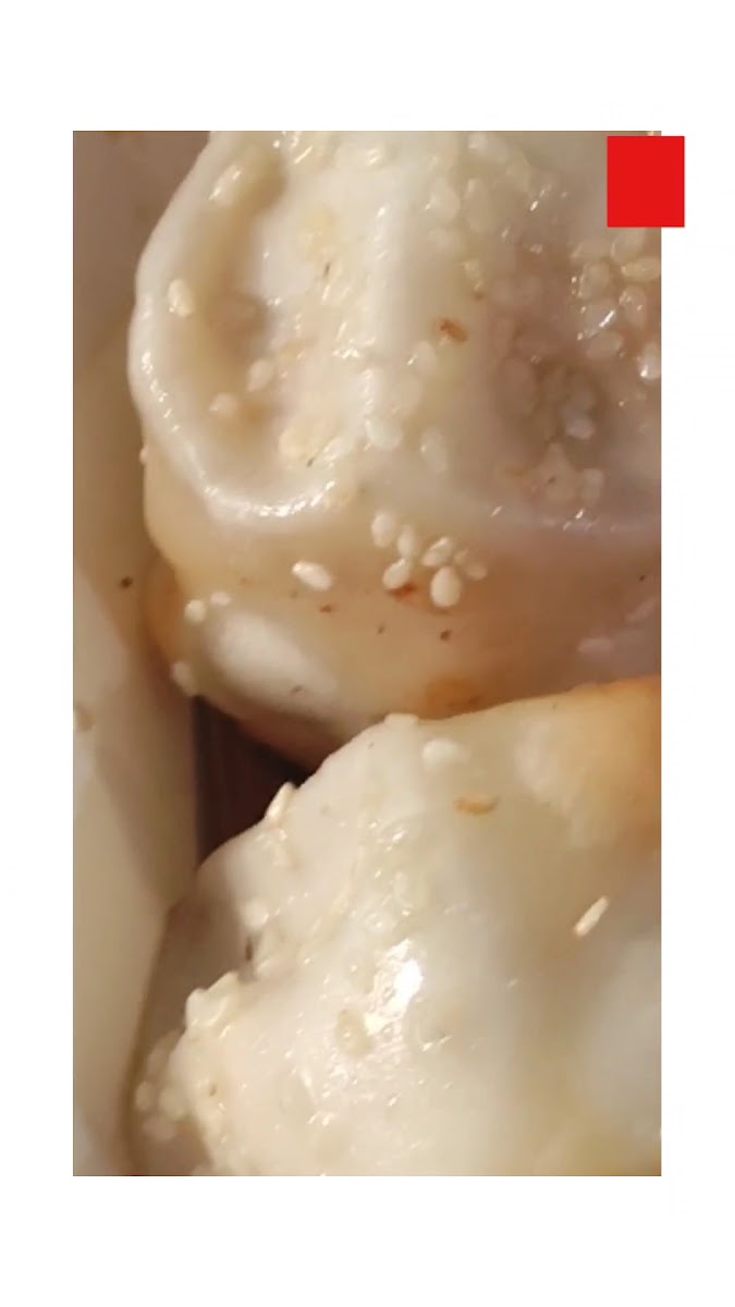 Cheung Hing Kee Shanghai Pan Fried Buns Photo 2
