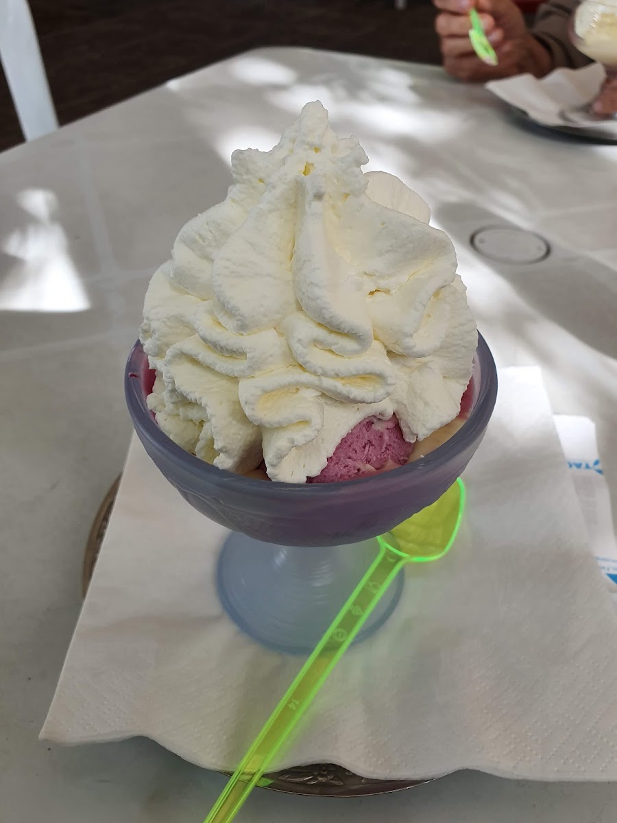 Gelateria Giorgio e Patrizia Photo 8
