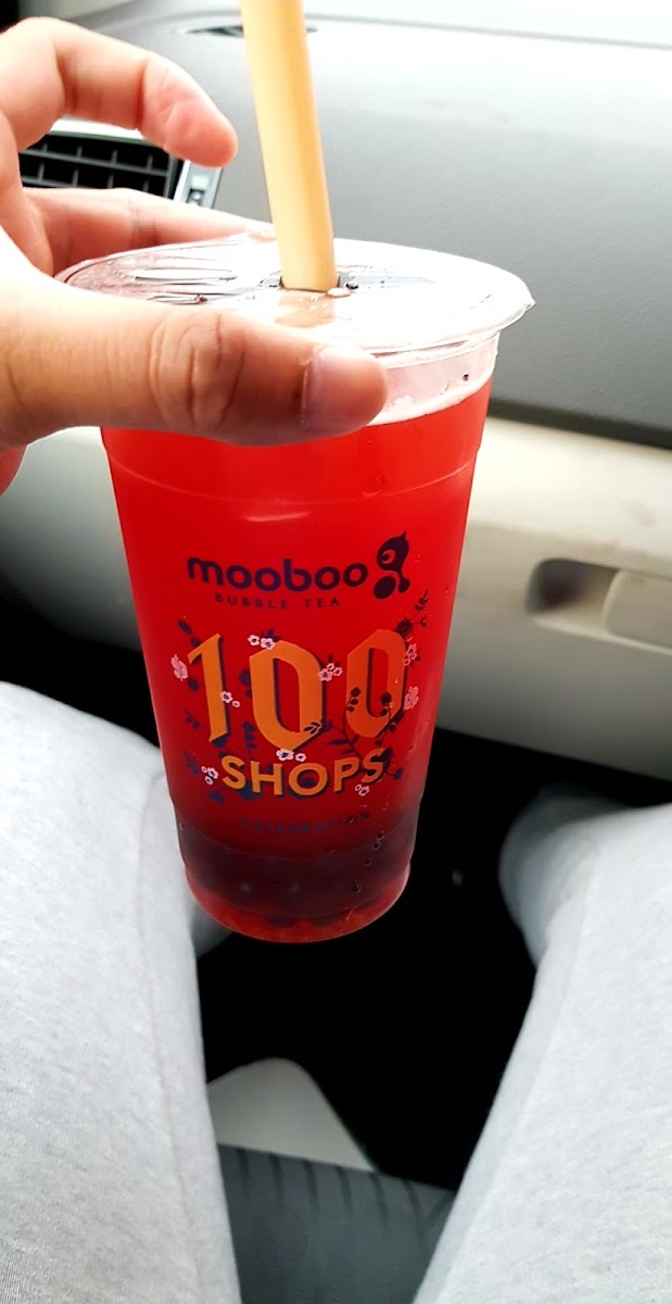 Mooboo Rochdale Photo 7